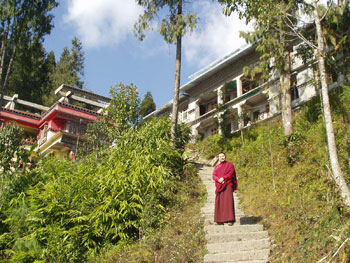 Construction of Shedra at Lachung